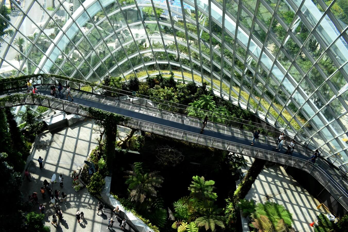 Walkway spans garden inside large glass greenhouse, sunlight streaming.
