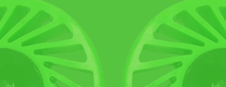 Polyurethane, the Eco friendly Product